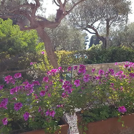 فندق مبيت وإفطار Il Rifugio Capri