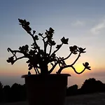 Il Rifugio Capri 3* Anacapri (Isola di Capri)