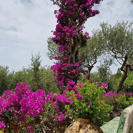 Bed & Breakfast Il Rifugio Capri Anacapri (Isola di Capri)